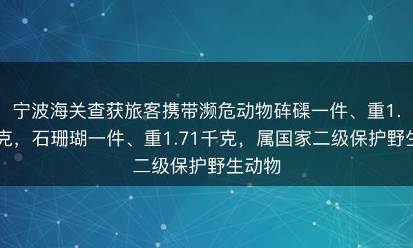 宁波海关查获旅客携带濒危动物砗磲一件、重1.18千克，石珊瑚一件、重1.71千克，属国家二级保护野生动物