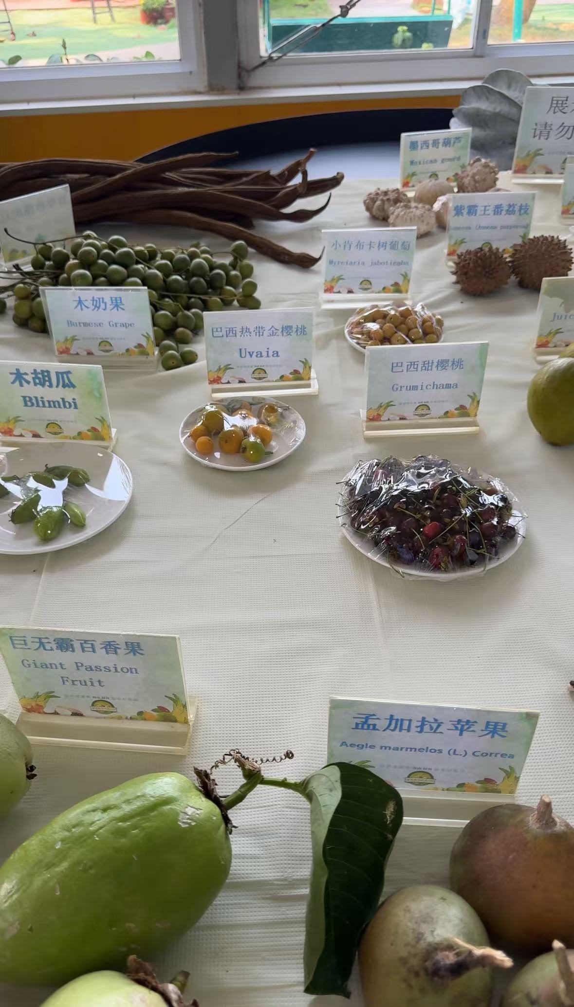 来自世界各地的不同热带水果。人民网记者 焦磊摄