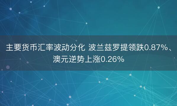 主要货币汇率波动分化 波兰兹罗提领跌0.87%、澳元逆势上涨0.26%