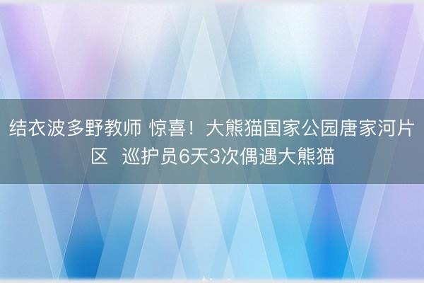 结衣波多野教师 惊喜！大熊猫国家公园唐家河片区  巡护员6天3次偶遇大熊猫