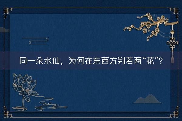 同一朵水仙，为何在东西方判若两“花”？