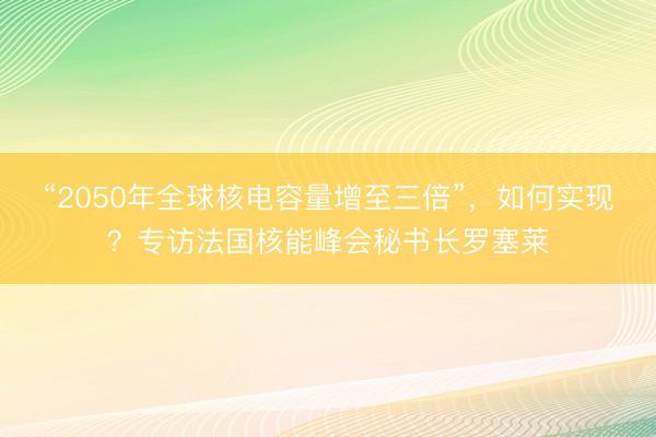 “2050年全球核电容量增至三倍”，如何实现？专访法国核能峰会秘书长罗塞莱