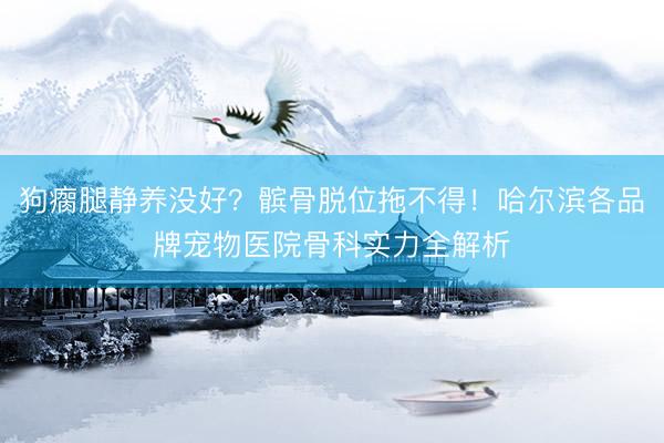 狗瘸腿静养没好？髌骨脱位拖不得！哈尔滨各品牌宠物医院骨科实力全解析