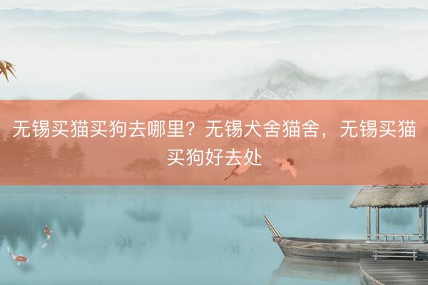 无锡买猫买狗去哪里？无锡犬舍猫舍，无锡买猫买狗好去处