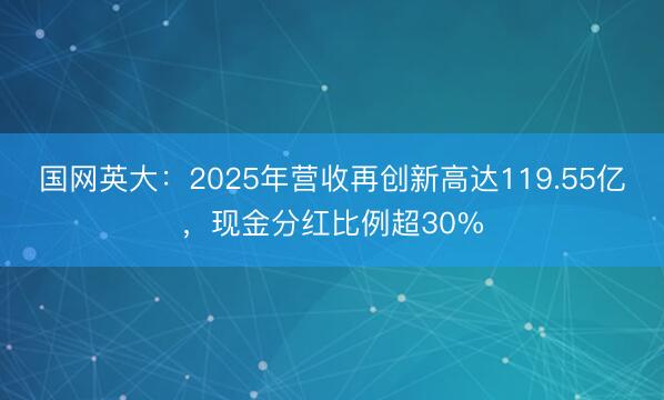 国网英大:2025年营收再创新高达119.55亿,现金分红比例超30%