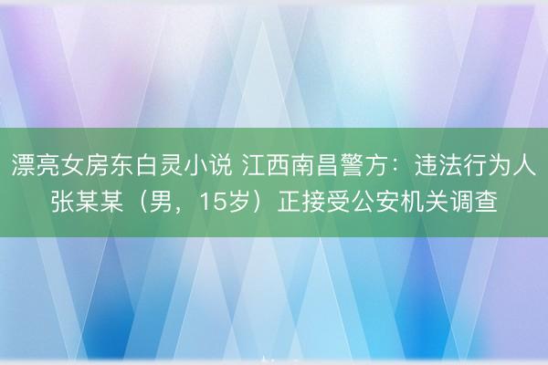 漂亮女房东白灵小说 江西南昌警方：违法行为人张某某（男，15岁）正接受公安机关调查