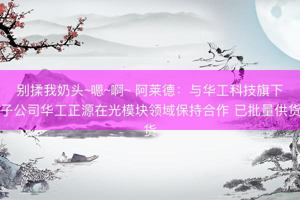 别揉我奶头~嗯~啊~ 阿莱德:与华工科技旗下子公司华工正源在光模块领域保持合作 已批量供货