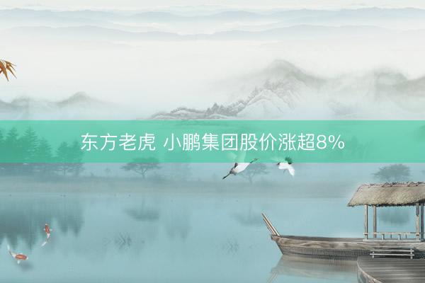 东方老虎 小鹏集团股价涨超8%
