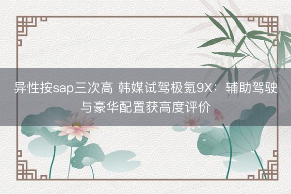 异性按sap三次高 韩媒试驾极氪9X：辅助驾驶与豪华配置获高度评价