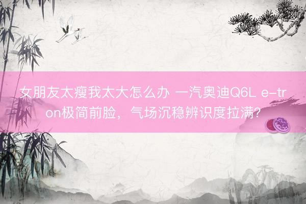 女朋友太瘦我太大怎么办 一汽奥迪Q6L e-tron极简前脸,气场沉稳辨识度拉满?
