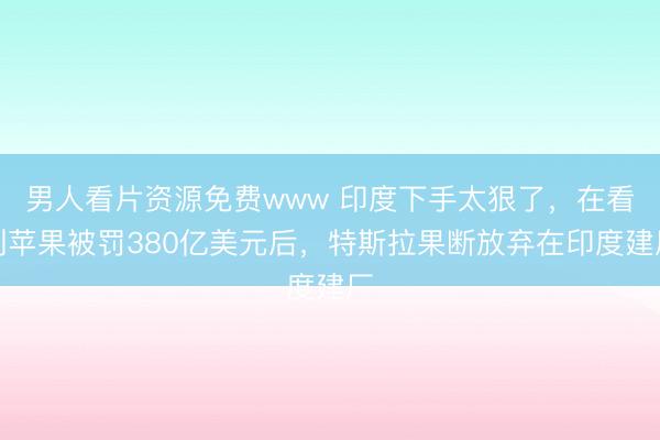 男人看片资源免费www 印度下手太狠了,在看到苹果被罚380亿美元后,特斯拉果断放弃在印度建厂