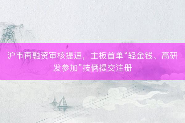 沪市再融资审核提速，主板首单“轻金钱、高研发参加”技俩提交注册