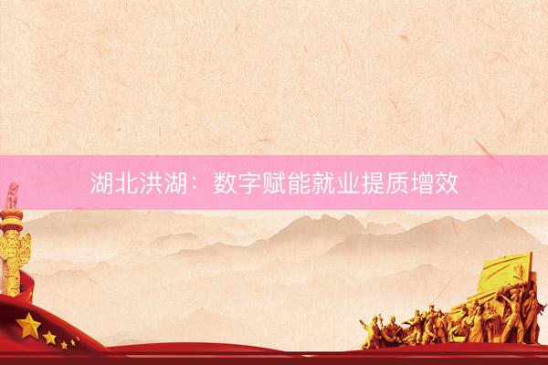 湖北洪湖：数字赋能就业提质增效