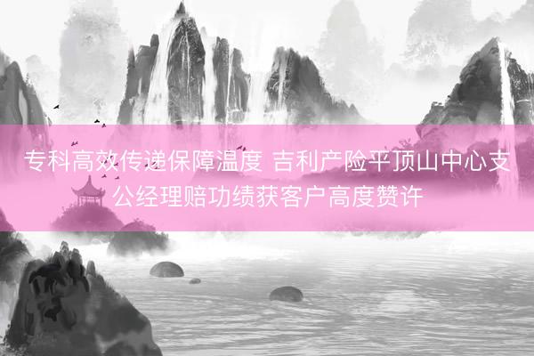 专科高效传递保障温度 吉利产险平顶山中心支公经理赔功绩获客户高度赞许