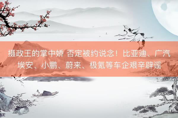 摄政王的掌中娇 否定被约说念！比亚迪、广汽埃安、小鹏、蔚来、极氪等车企艰辛辟谣