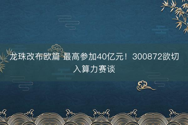 龙珠改布欧篇 最高参加40亿元！300872欲切入算力赛谈