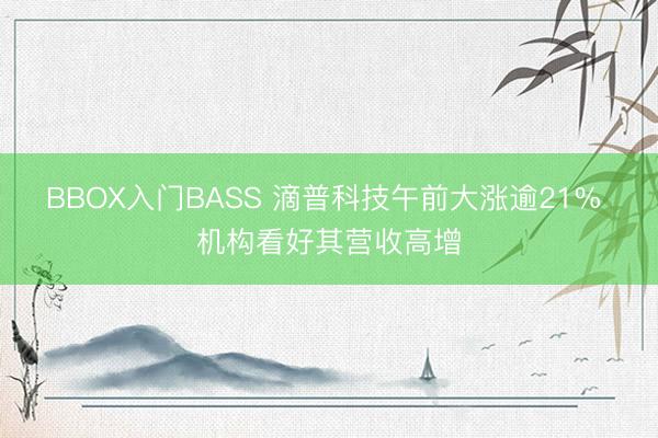 BBOX入门BASS 滴普科技午前大涨逾21% 机构看好其营收高增