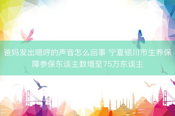 爸妈发出嗯哼的声音怎么回事 宁夏银川市生养保障参保东谈主数增至75万东谈主