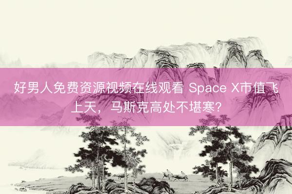好男人免费资源视频在线观看 Space X市值飞上天，马斯克高处不堪寒？