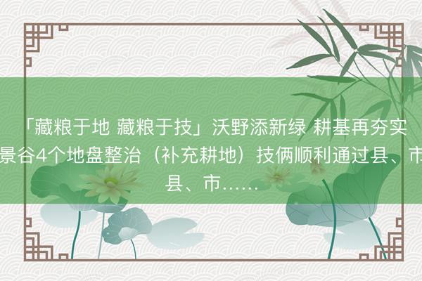 「藏粮于地 藏粮于技」沃野添新绿 耕基再夯实——景谷4个地盘整治(补充耕地)技俩顺利通过县、市……