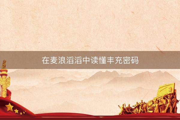 在麦浪滔滔中读懂丰充密码