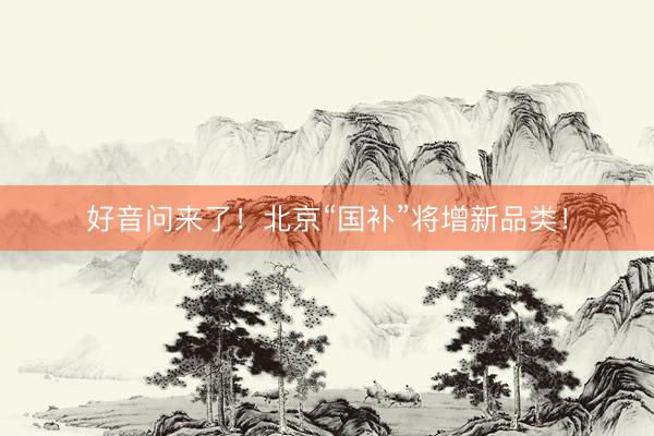 好音问来了！北京“国补”将增新品类！