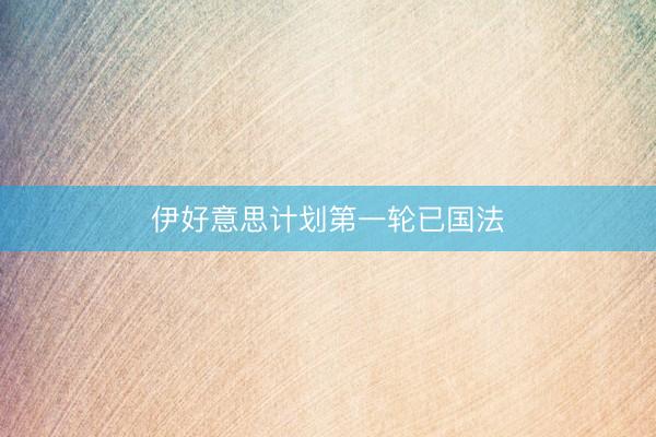 伊好意思计划第一轮已国法